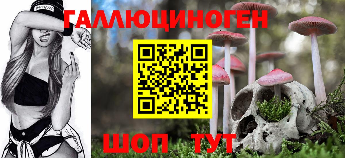 Галлюциногенные грибы Psilocybe Сегежа