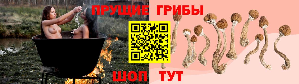 Сегежа  даркнет сайт  Вход с VPN  Галлюциногенные грибы Magic Shrooms 